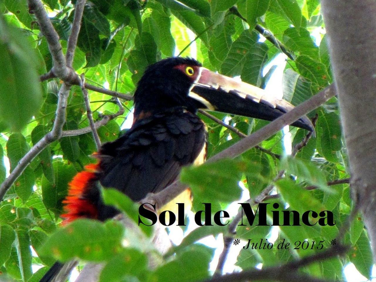 Sol De Minca Eco Lodge Zewnętrze zdjęcie