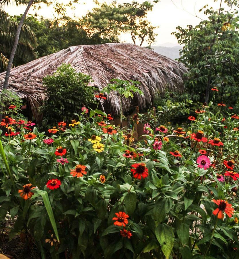 Sol De Minca Eco Lodge Zewnętrze zdjęcie